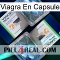 Viagra Capsule viagra5